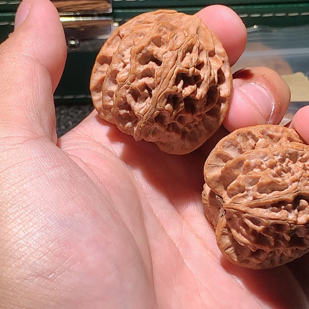 吊坠猴头核桃常****粉