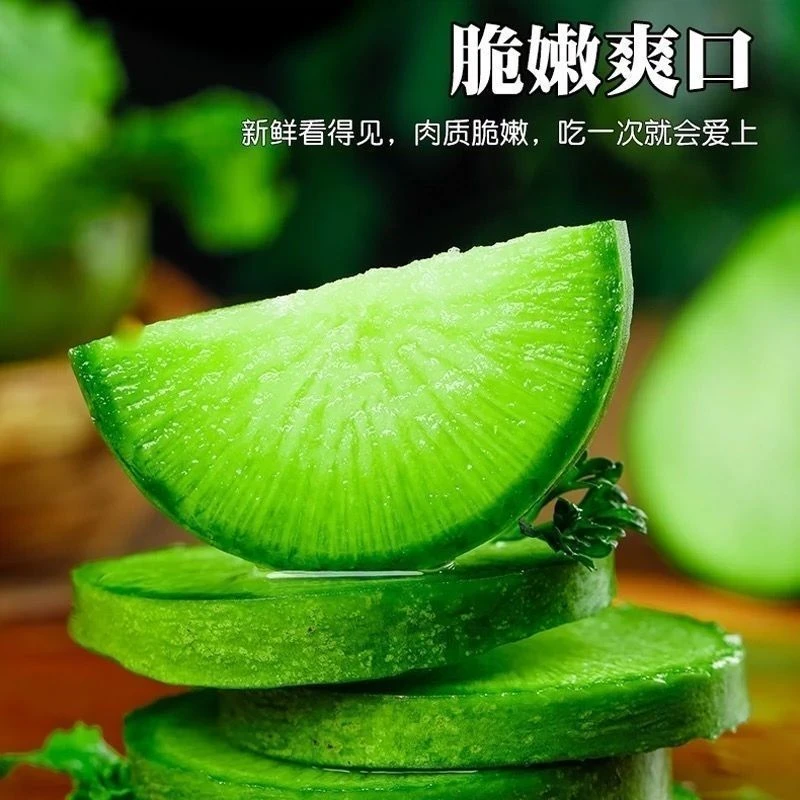 【产地直发】正宗潍坊水果萝卜生吃脆爽可口当季新鲜现发