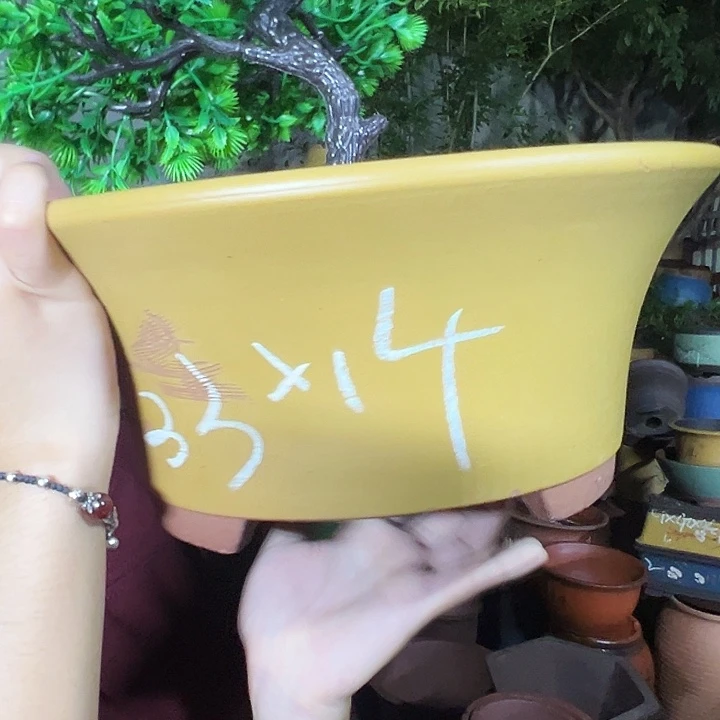 33黄票口花盆花盆花盆