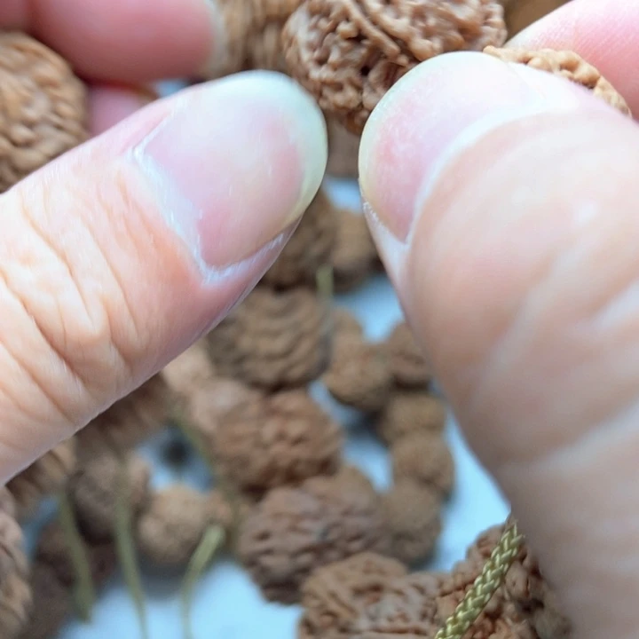 金刚菩提吊坠6瓣23左右粗筋双龙