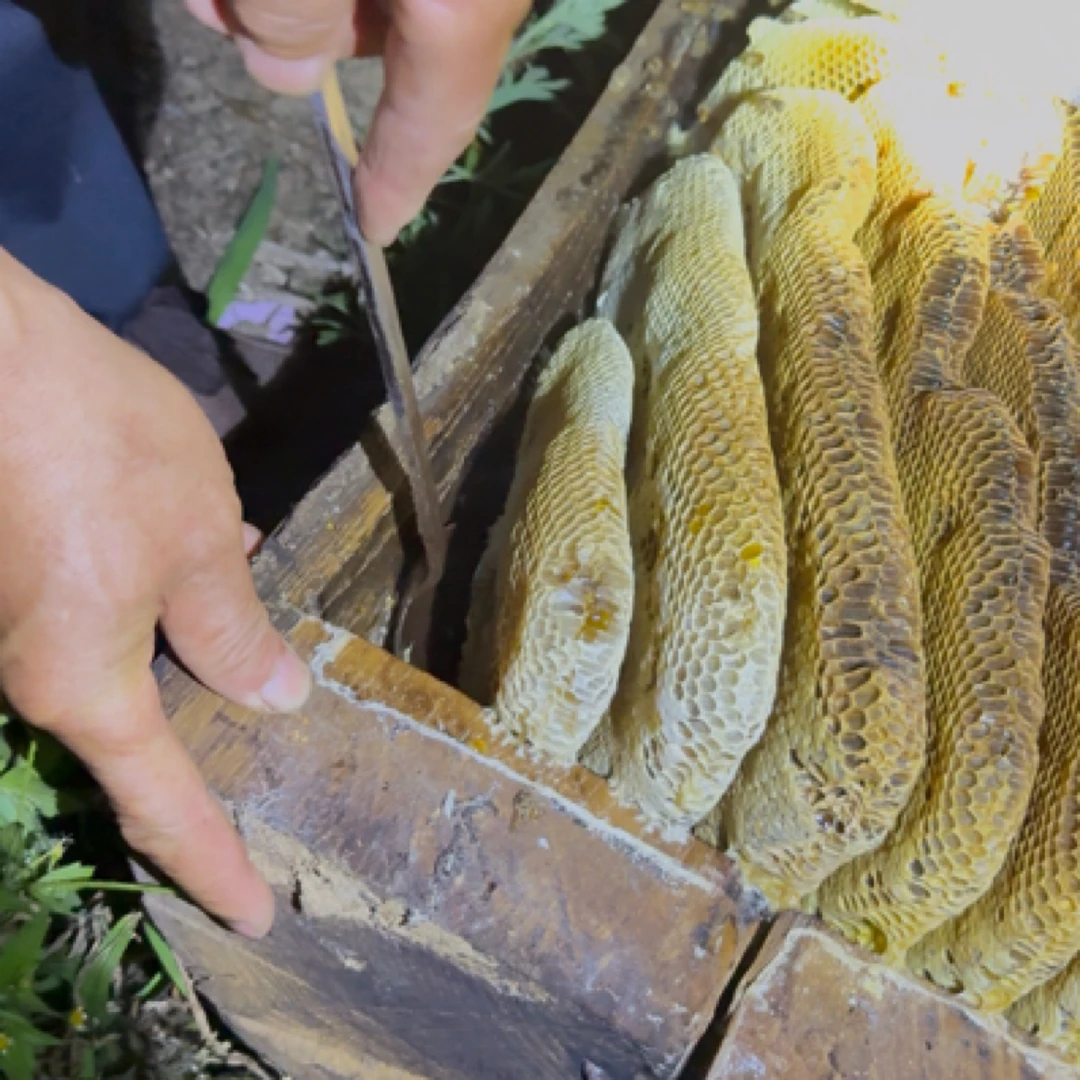 秦岭大山农家土蜂蜜（百花蜜）