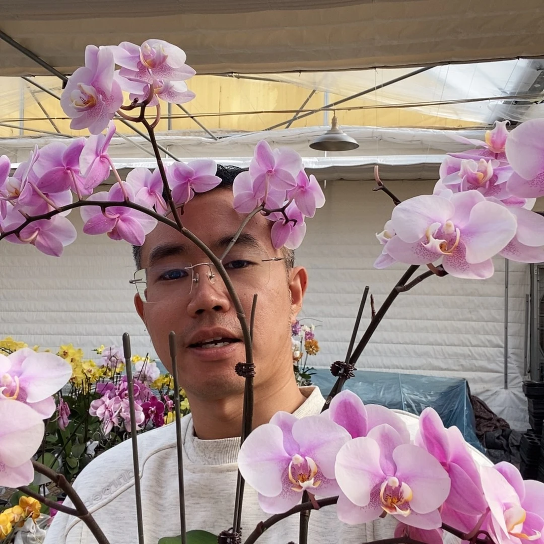 完全开放三颗罗斯基勒