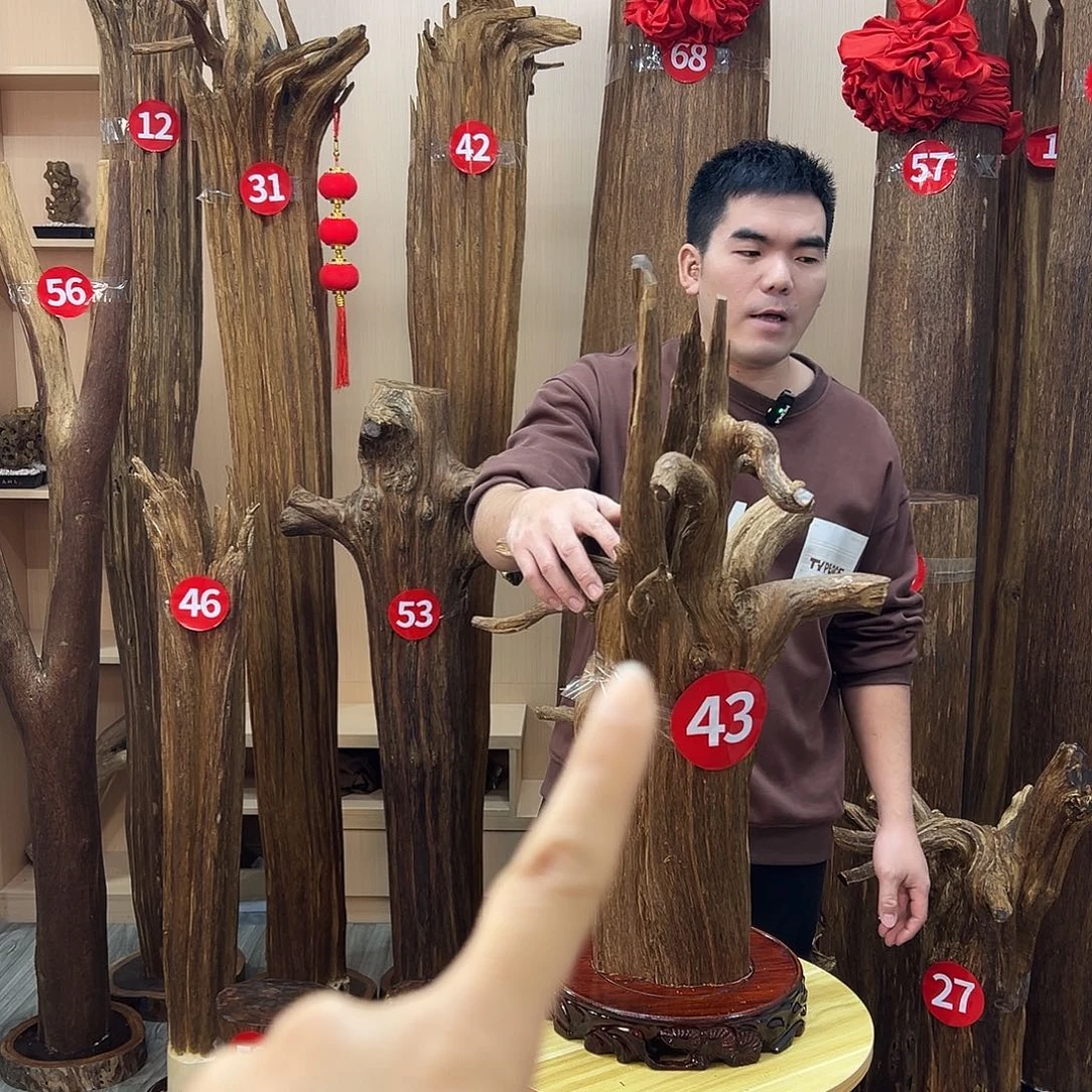 郭***忠沉香沉香碎屑沉香