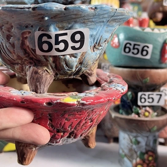 红陶多肉植物花盆