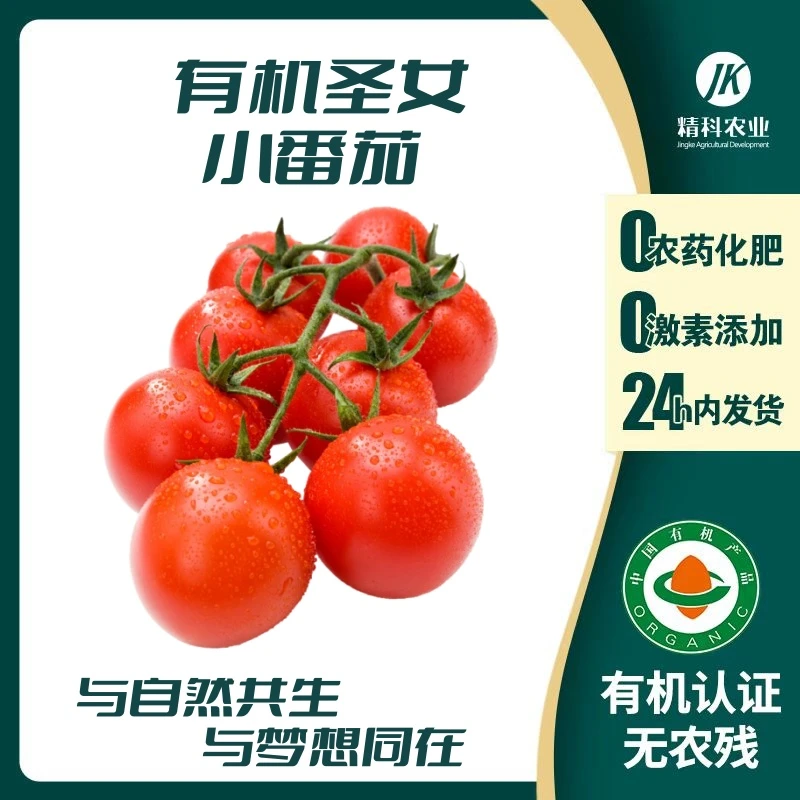 精科优鲜·有机圣女小番茄 皮薄肉厚汁水丰富 酸酸甜甜 3-5斤装