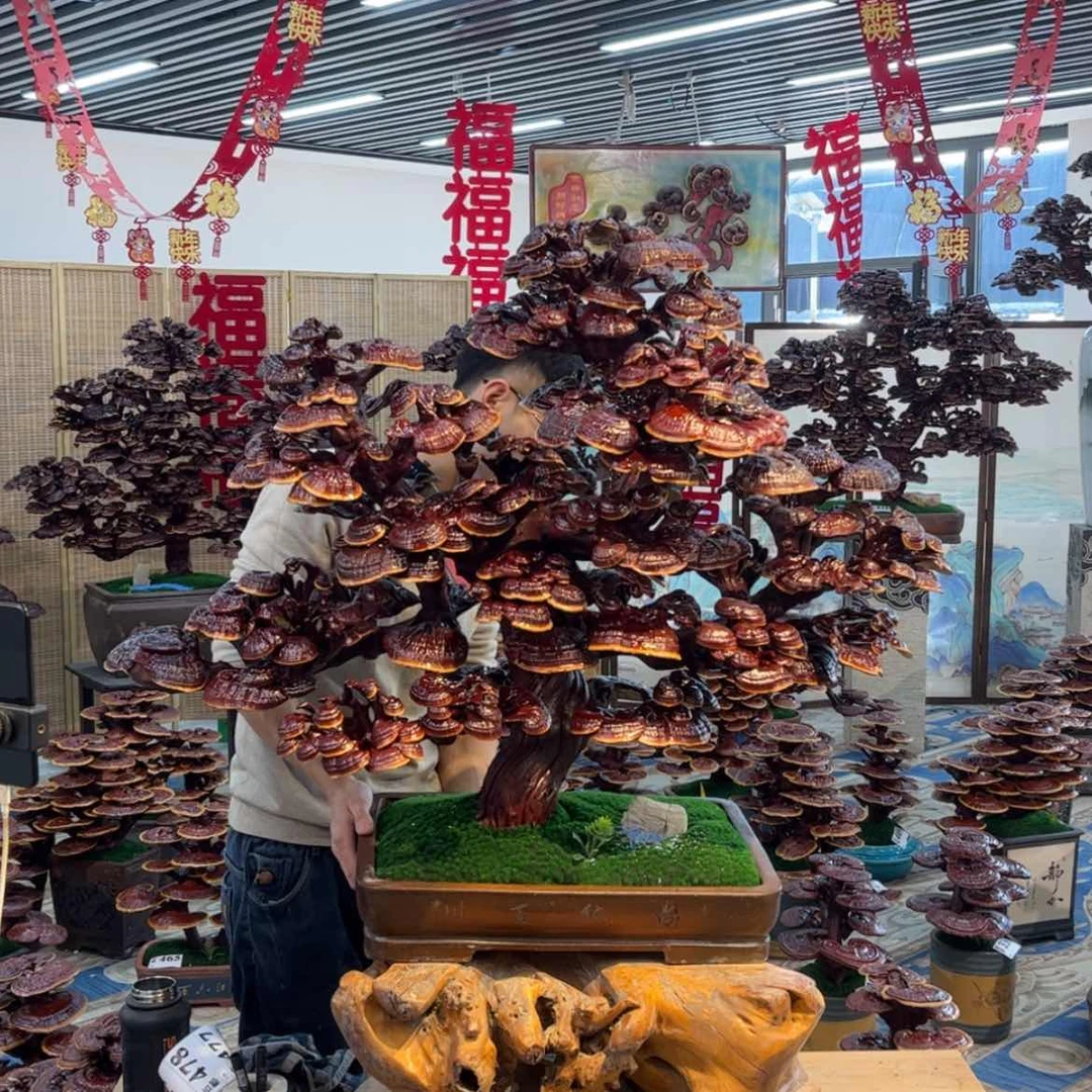 【闪购商品】88888