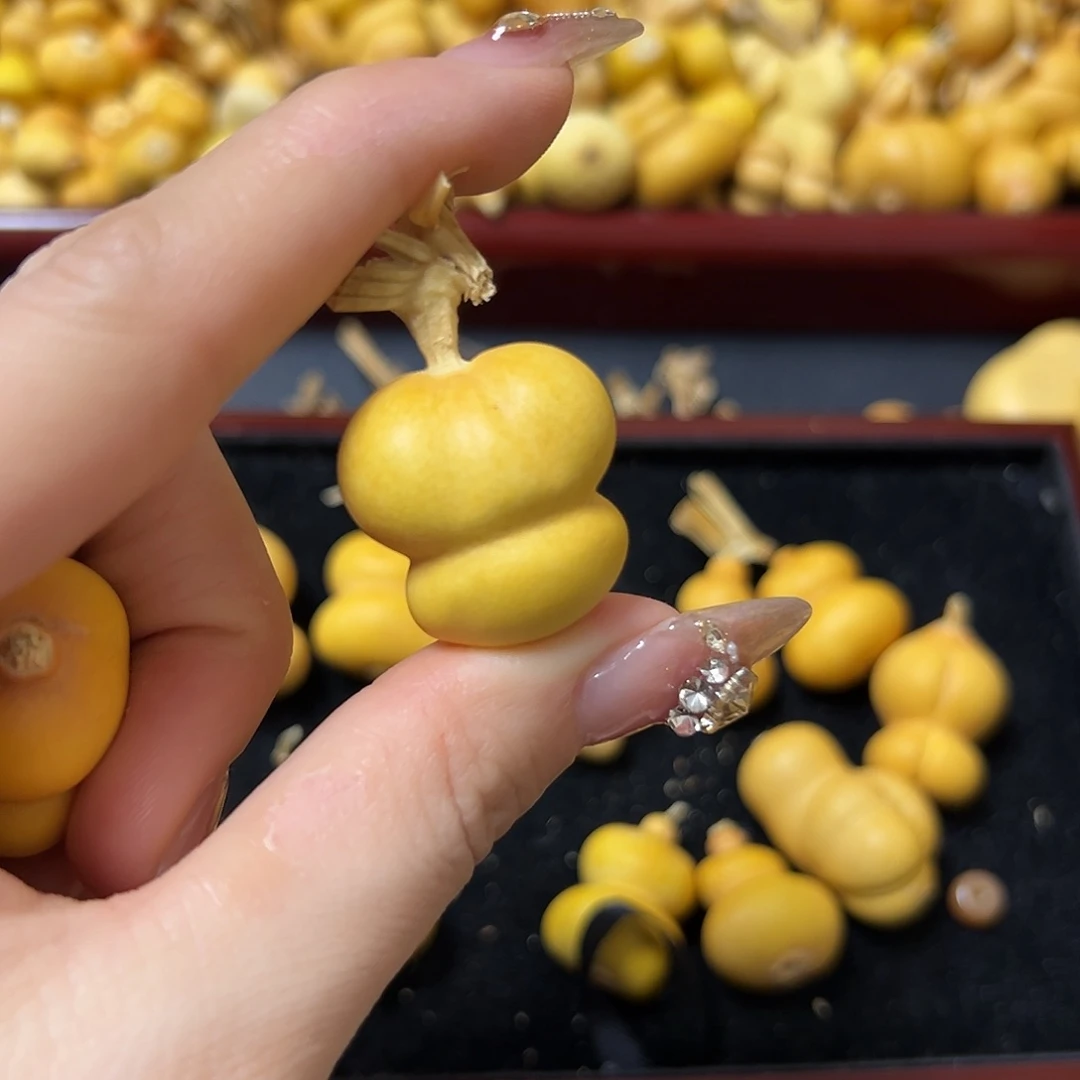 小***。葫芦葫芦葫芦葫芦