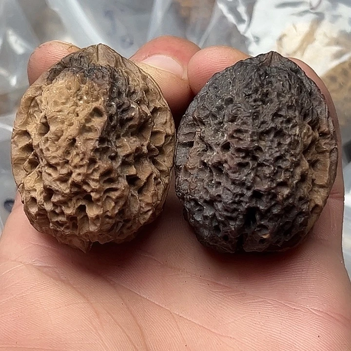 核桃34号花彩妖蟾44尺