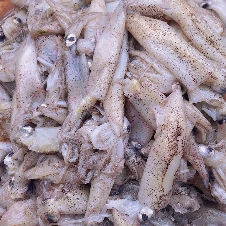 中国大陆现挑现发