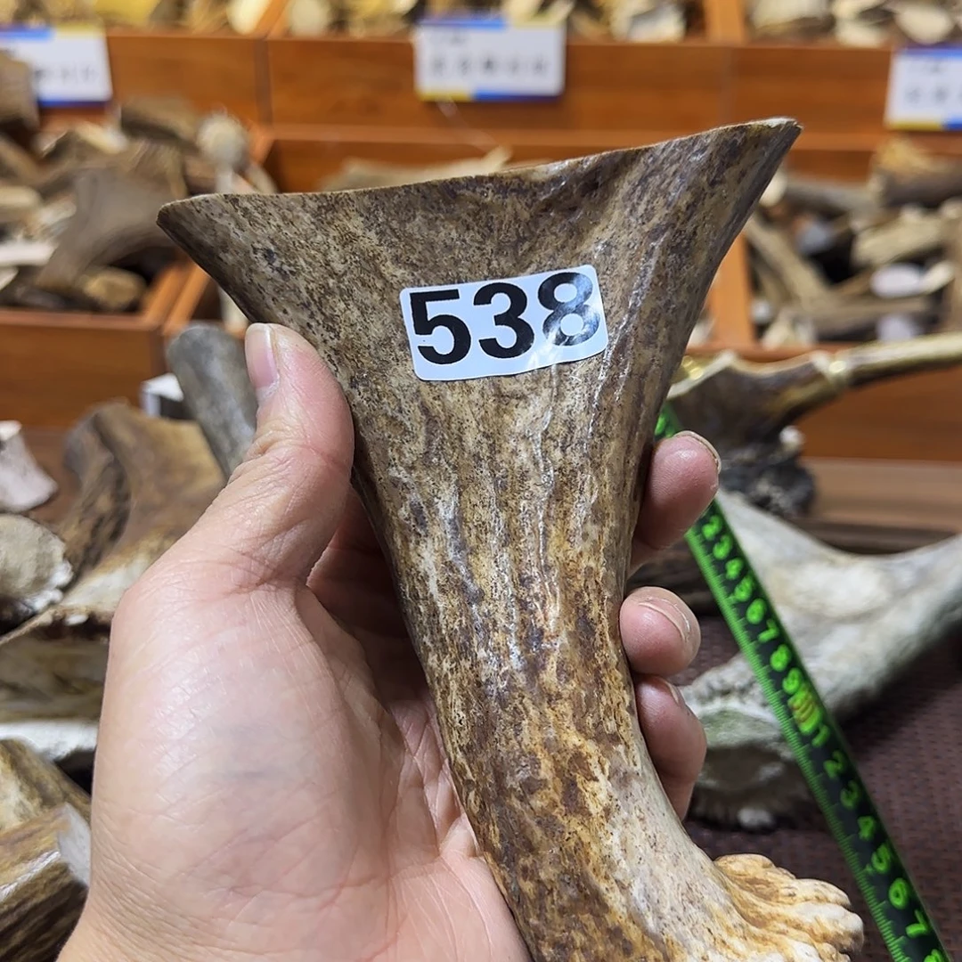 鹿骨手串/手链鹿角弹弓料538