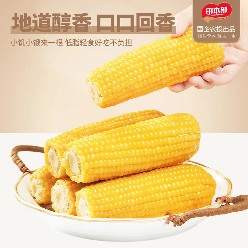 （试吃2支）正宗东北黄糯玉米10支黏糯好吃黄玉米真空包装