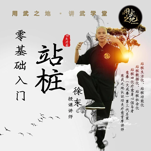 零基础学站桩（线上视频非实物，在线观看）