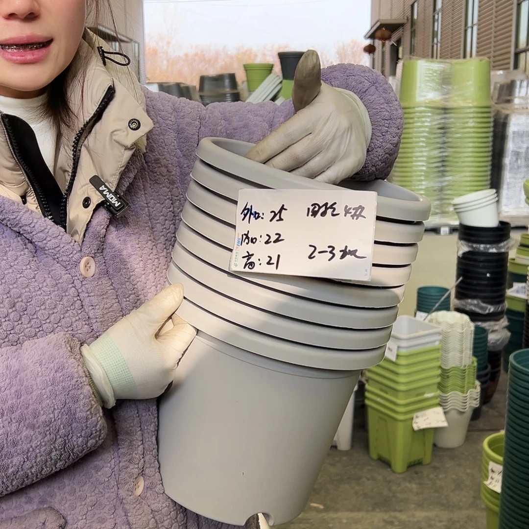 四季盆4#灰白8个无托