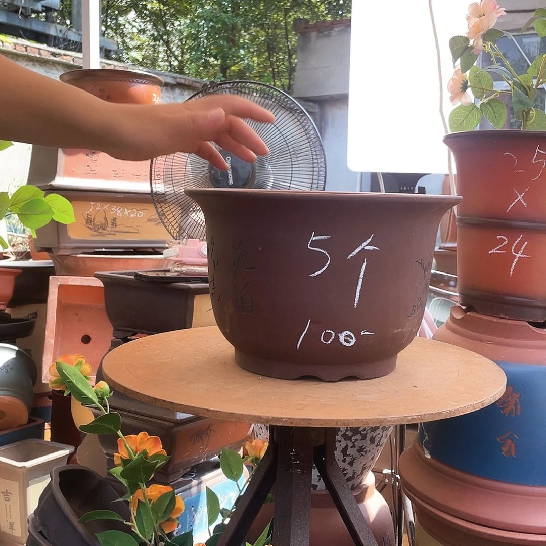 5个30平角金钟花盆紫砂花盆