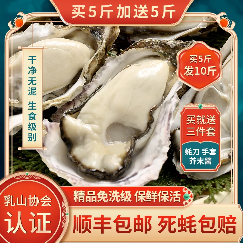 【喵小浪】买5斤送5斤乳山特大号生蚝鲜活顺丰10斤刺身级乳山生蚝