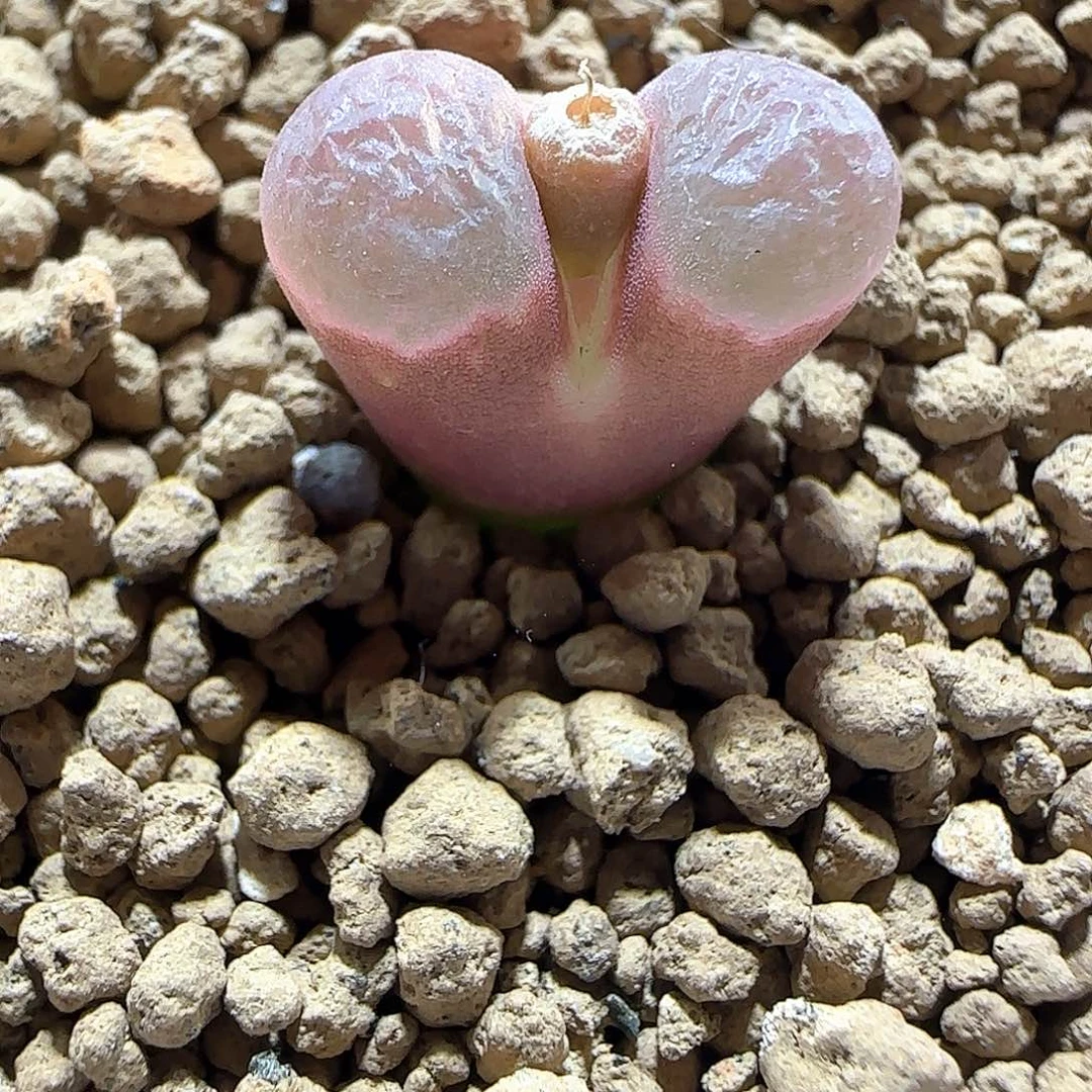 哈哈哈哈哈哈哈580209