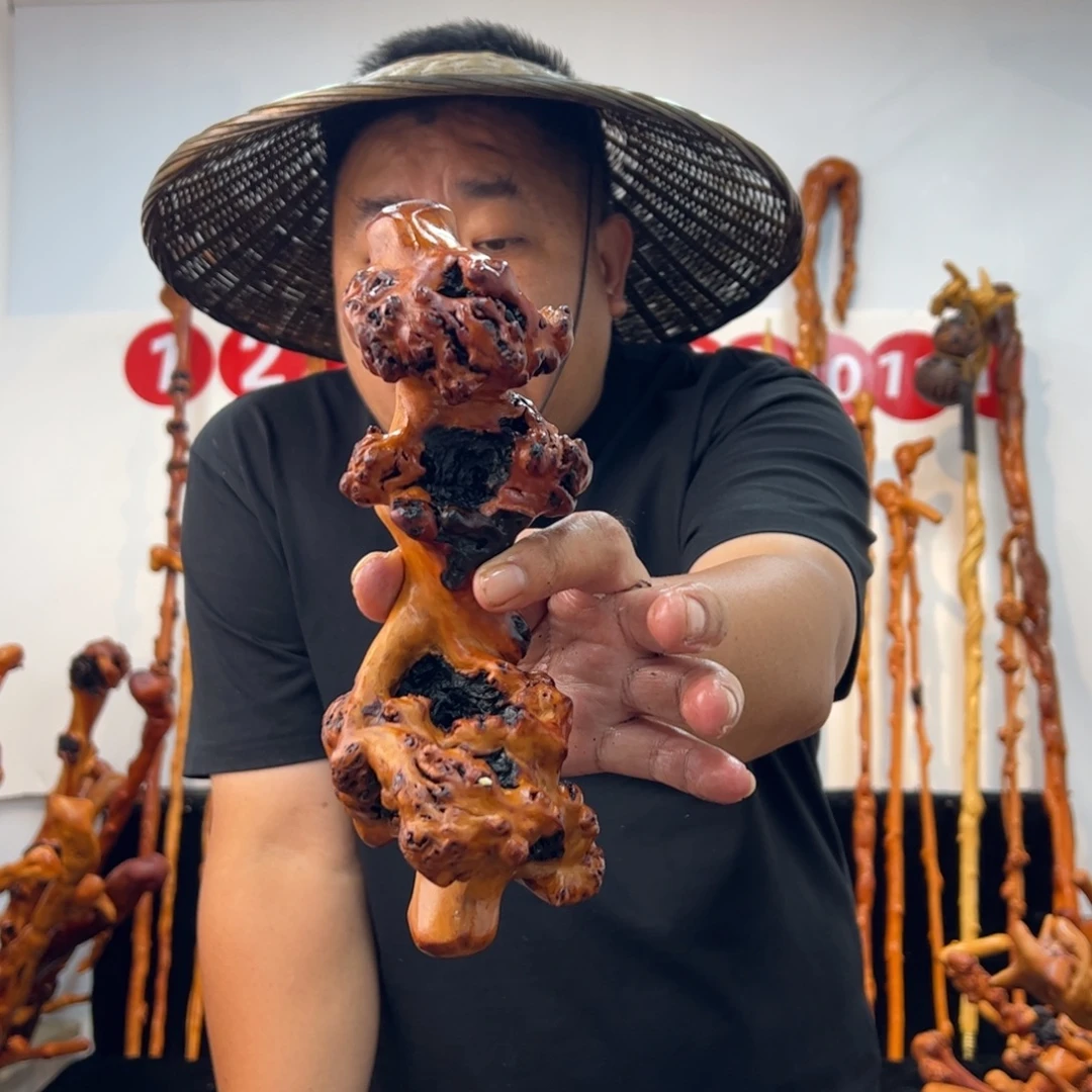 其他黑果木黑果木709