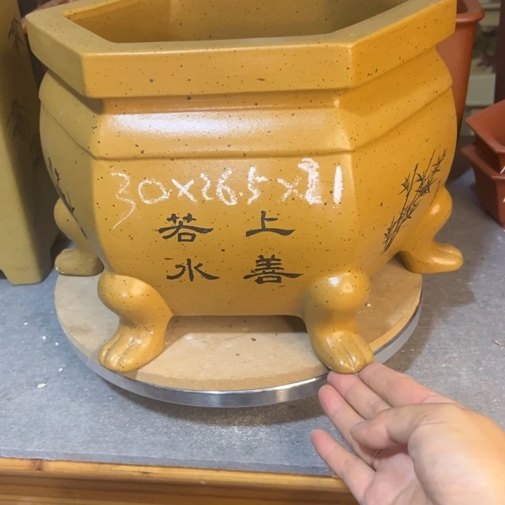 紫砂花盆紫砂花盆