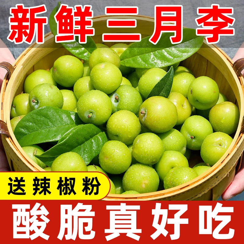 【特价】正宗三月李现摘新鲜当季酸脆子批发包邮