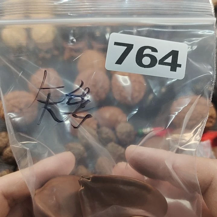 文玩核桃吊坠温**酒文玩核桃