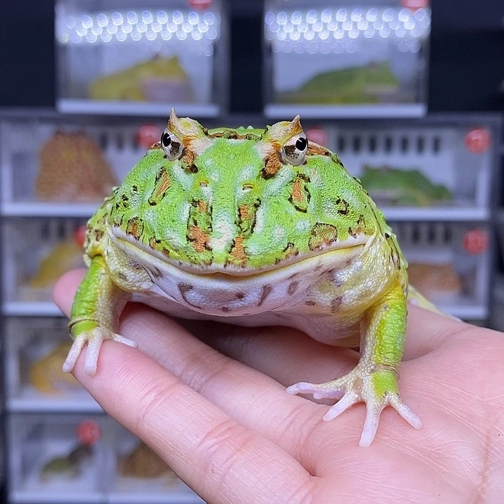 特价秒杀活动地址