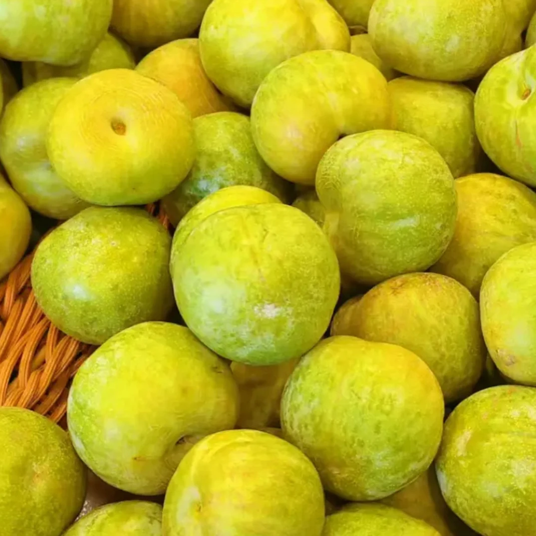 现货四川汶川新鲜青黄脆李脱骨李当季孕妇冰糖李子四川非蜂糖李