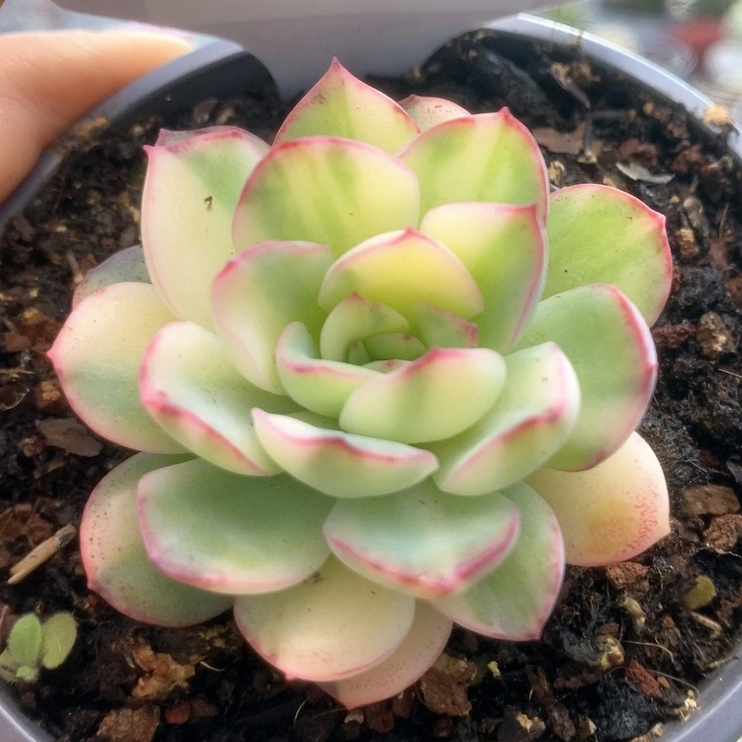 047哈哈哈哈哈哈哈哈哈哈