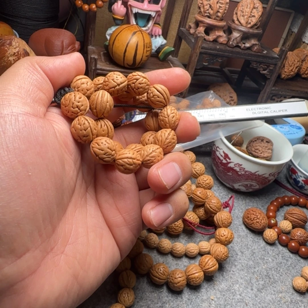 王*贵大肠纹手持一条一条