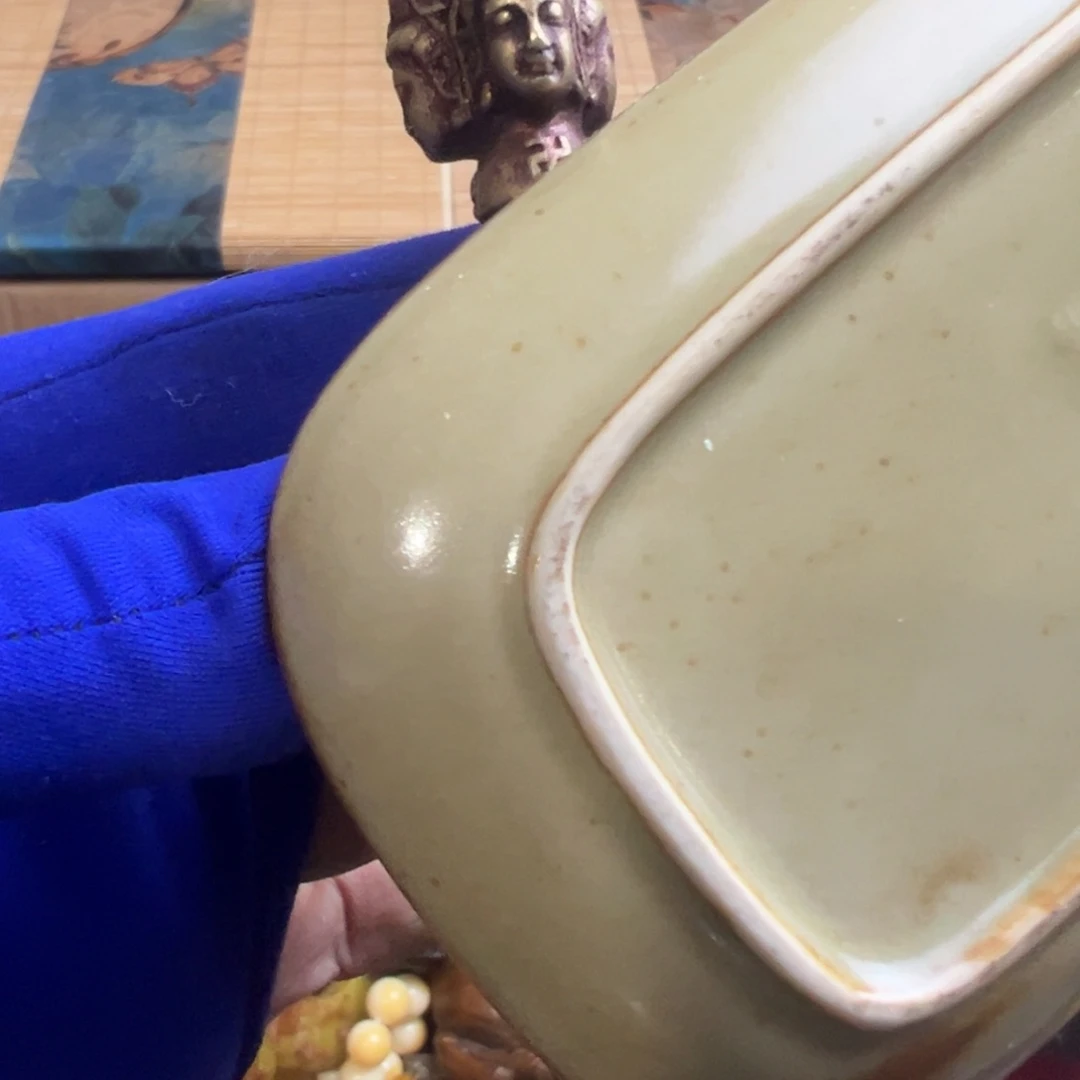 茶宠哈哈哈哈哈哈哈哈哈哈哈