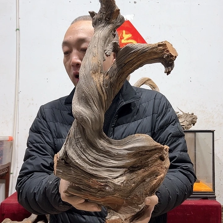 柏木橡***你我们的生活是以自己