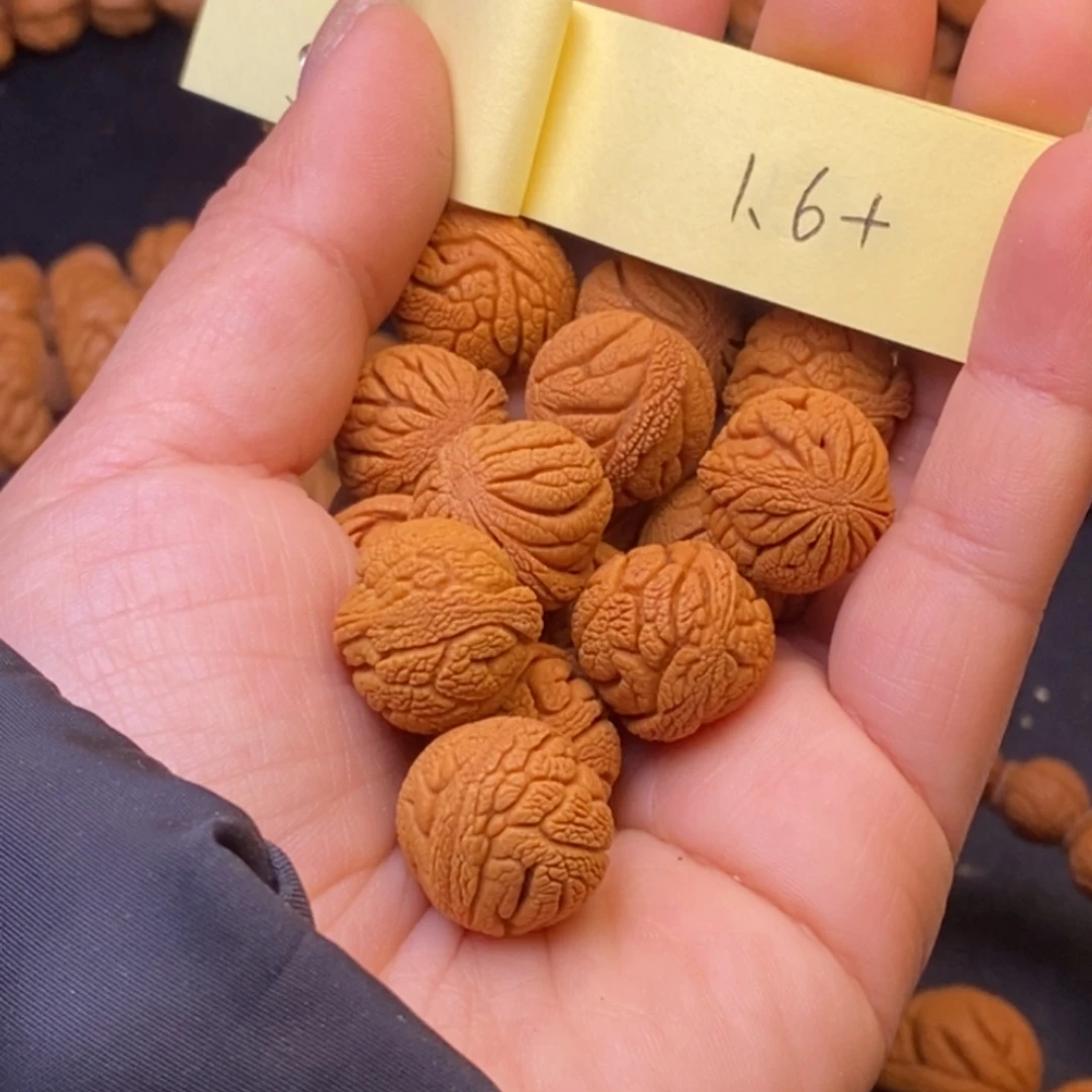 秦岭龙纹桃核15颗