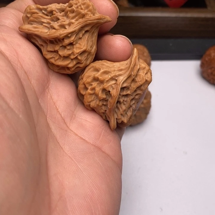 小鸟狮子头狮子头有修