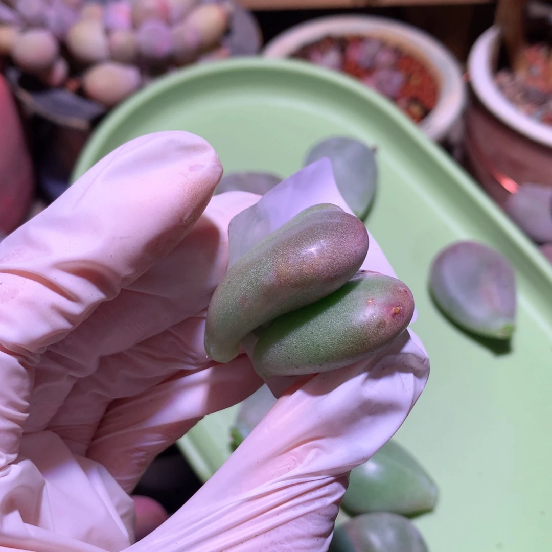 269 。一起的价格