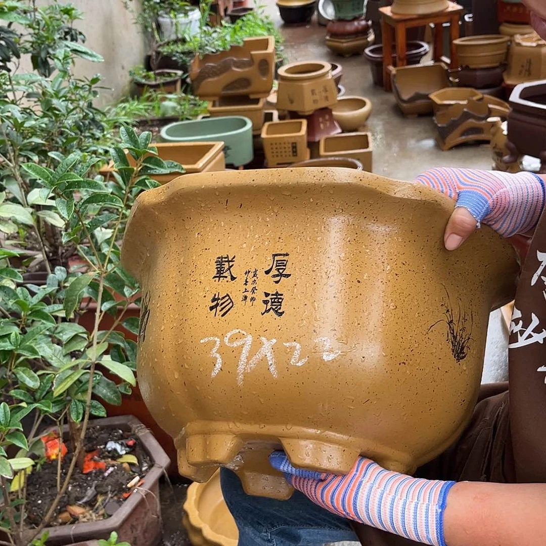 紫砂花盆盆景艺术