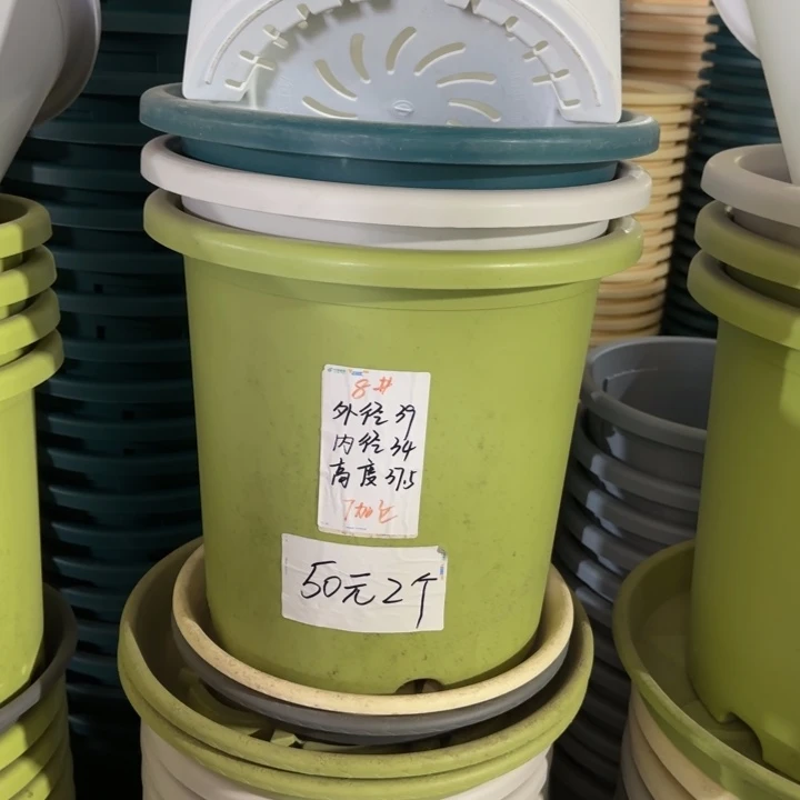 微瑕8#口径39无托果绿3个