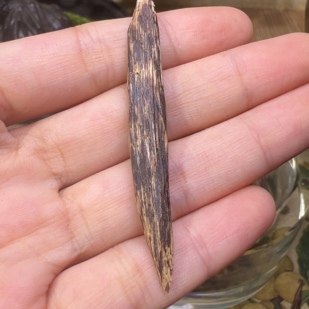 木海南木料大山沉水70年代牙沉1.2克