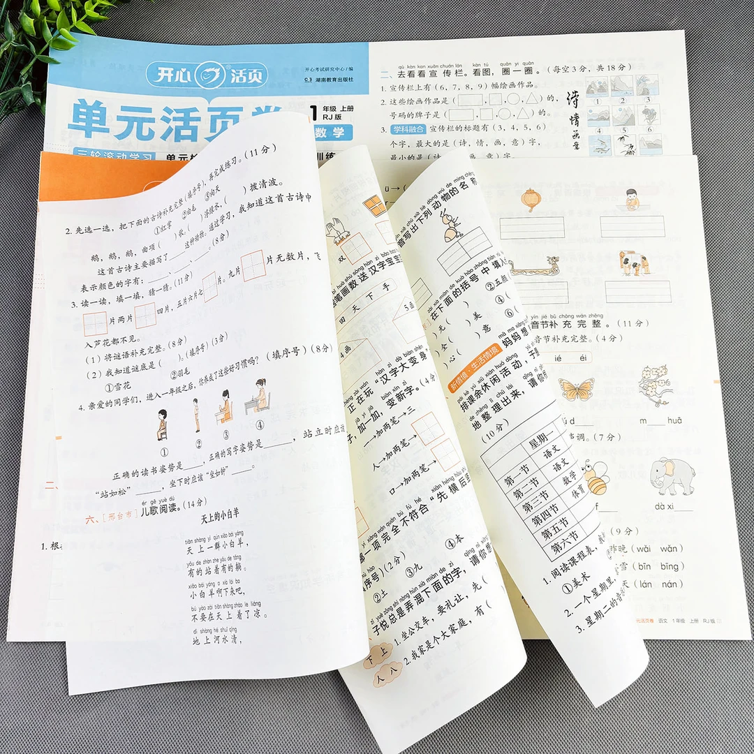 一年级上册试卷单元活页卷期中期末试卷一年级上册试卷测试卷全套
