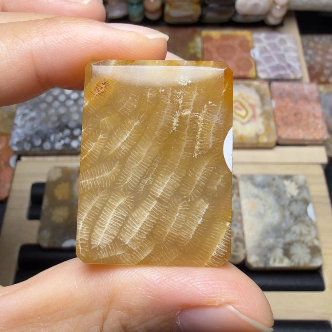 硅化玉未镶嵌糖糖的细长虫纹