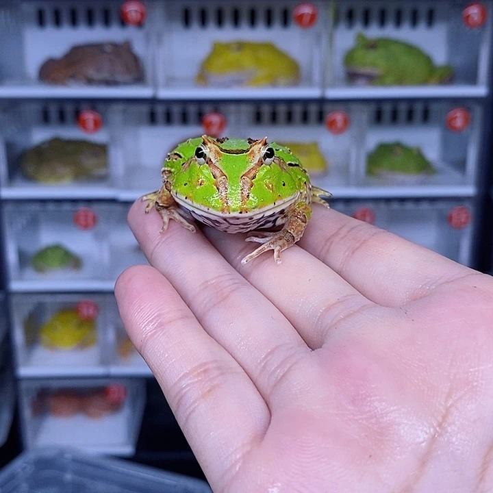 特价秒杀现货特价