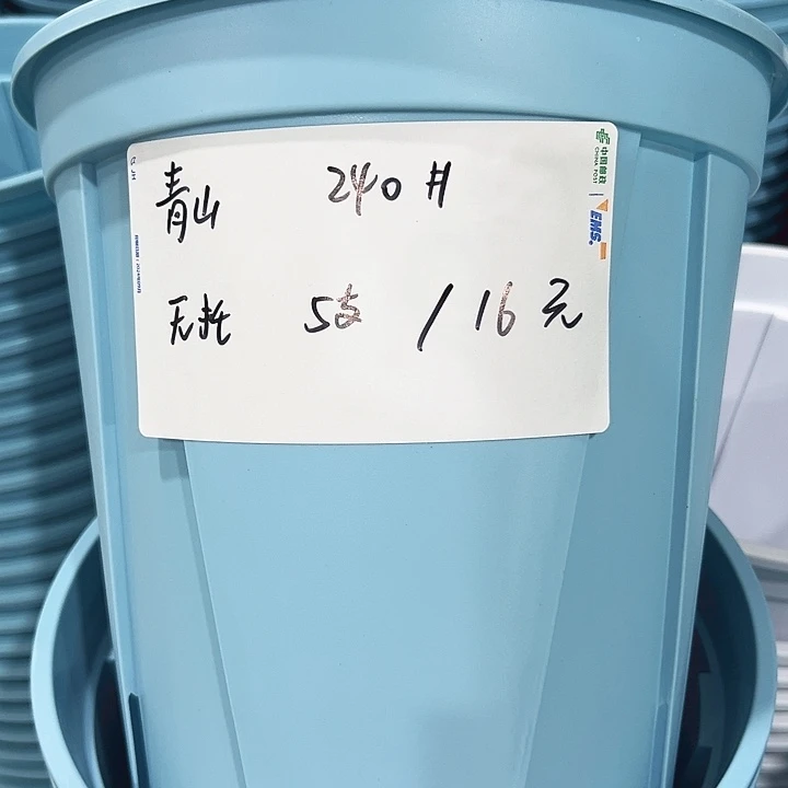 青山口24高24白色5只无托
