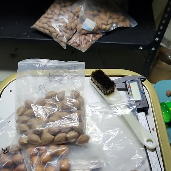 基***睿橄榄核吊坠散籽三包