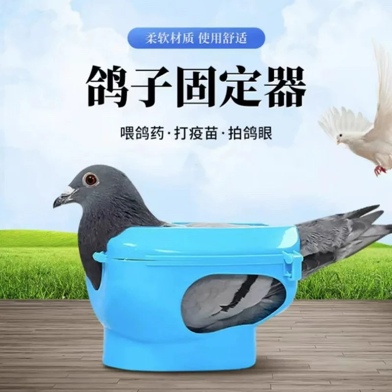 精品多功能鸽子固定器防跑喂药打针看鸽眼信鸽辅助工具鸽具