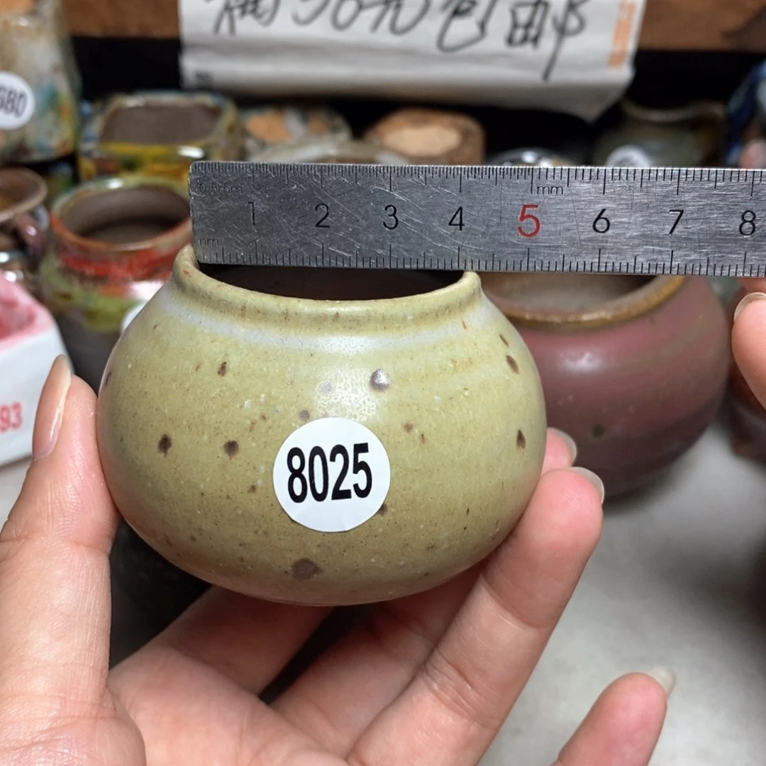 月*▪拍5送一个小礼物