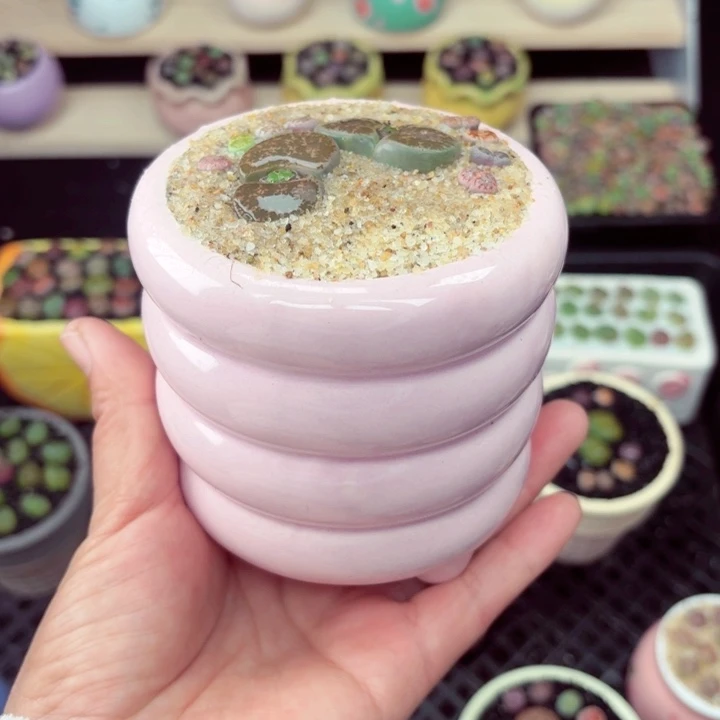 559零下地区记得拍保温箱满18包邮