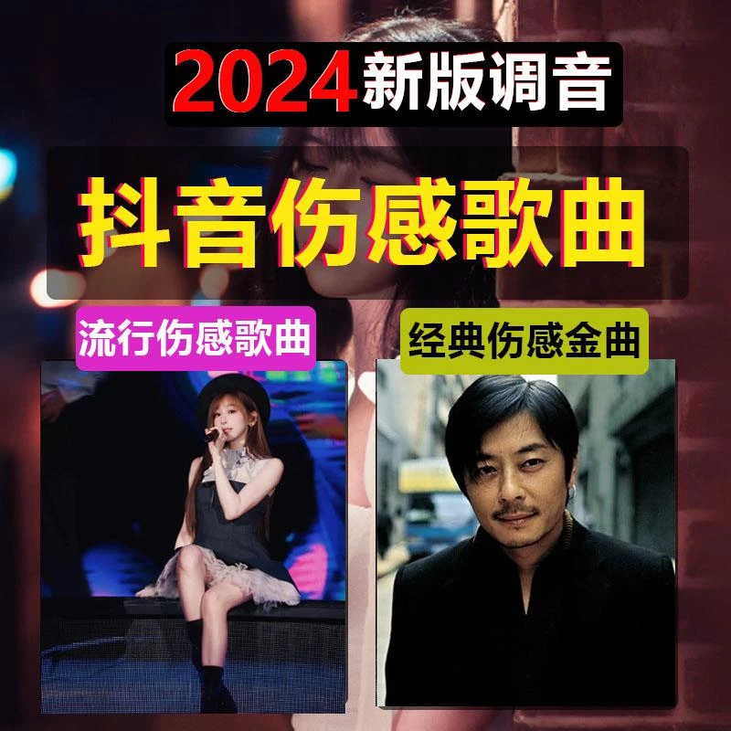 抖音伤感情歌碟片车载无损高音质正品黑胶白金音乐光盘两碟