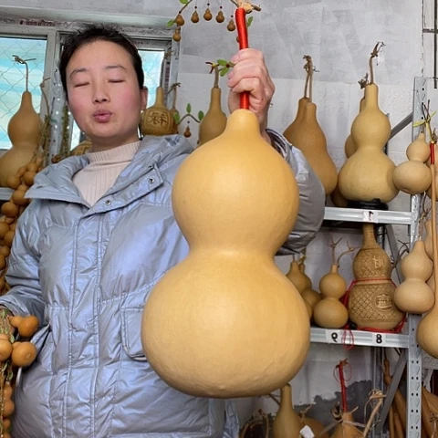 ?天然植物葫芦文玩