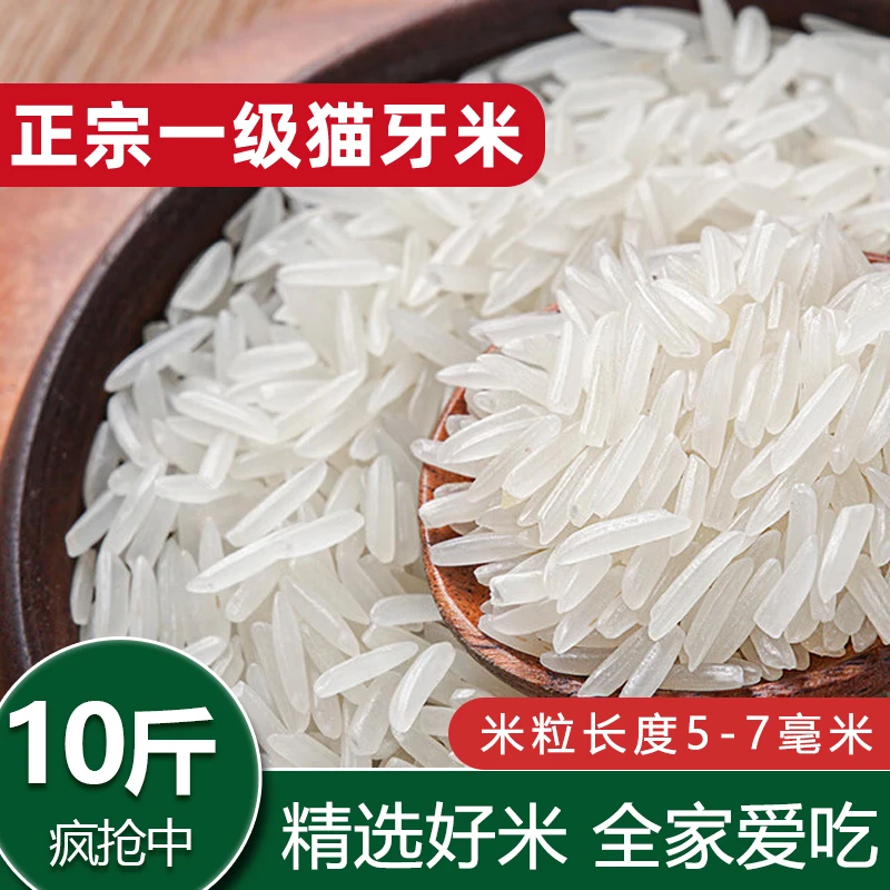 （直播专属敏莱昭）10斤装猫牙米新米长粒香米现磨生态软糯优质香米