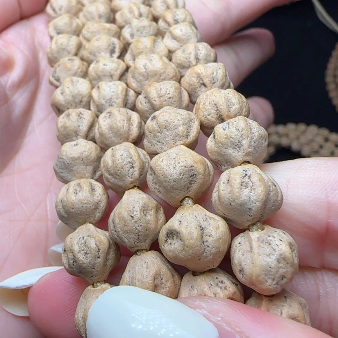 柏香籽/百香籽吊坠草****a