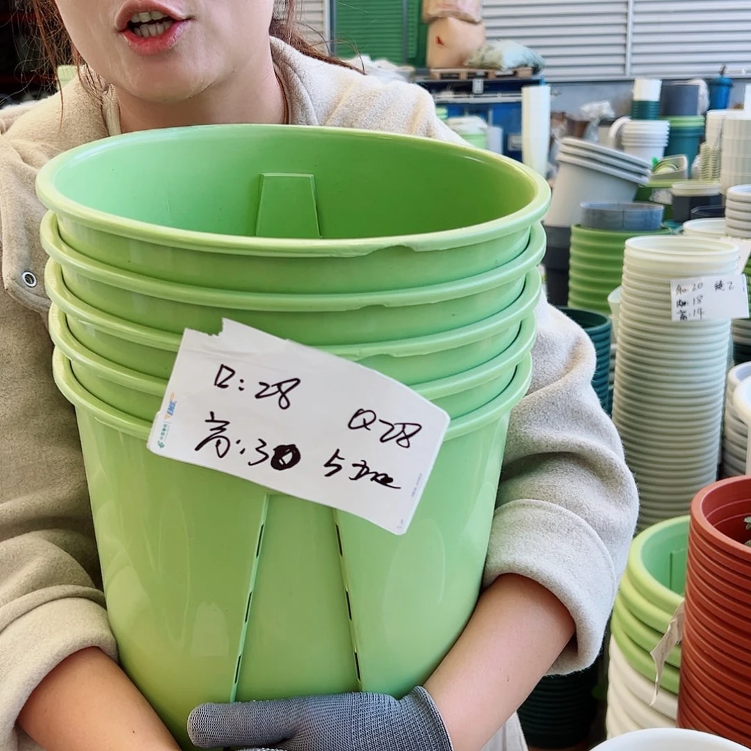 瑕疵Q28#果绿色5个无托