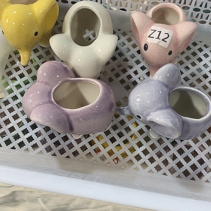 花盆抢购清货马上开始